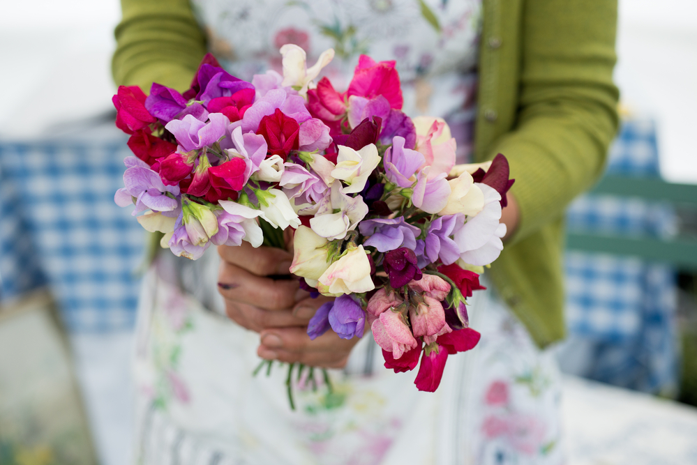 A bunch of sweet peas